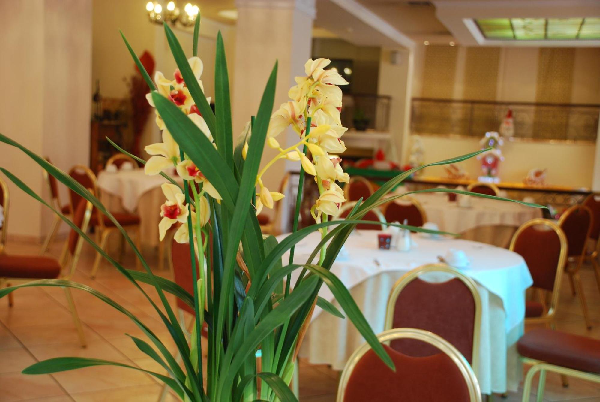Hotel Pella Giannitsá Extérieur photo